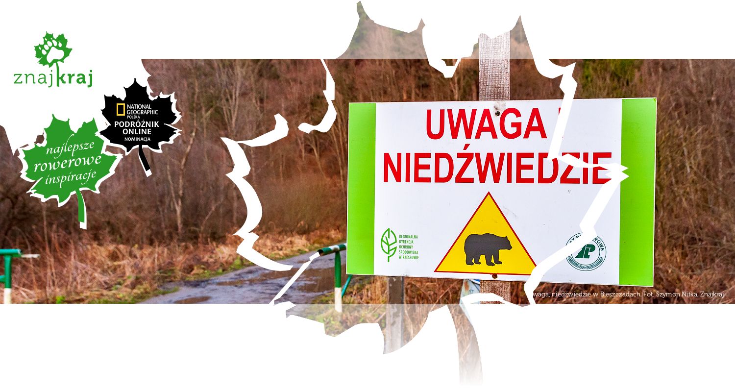 Uwaga, niedźwiedzie w Bieszczadach