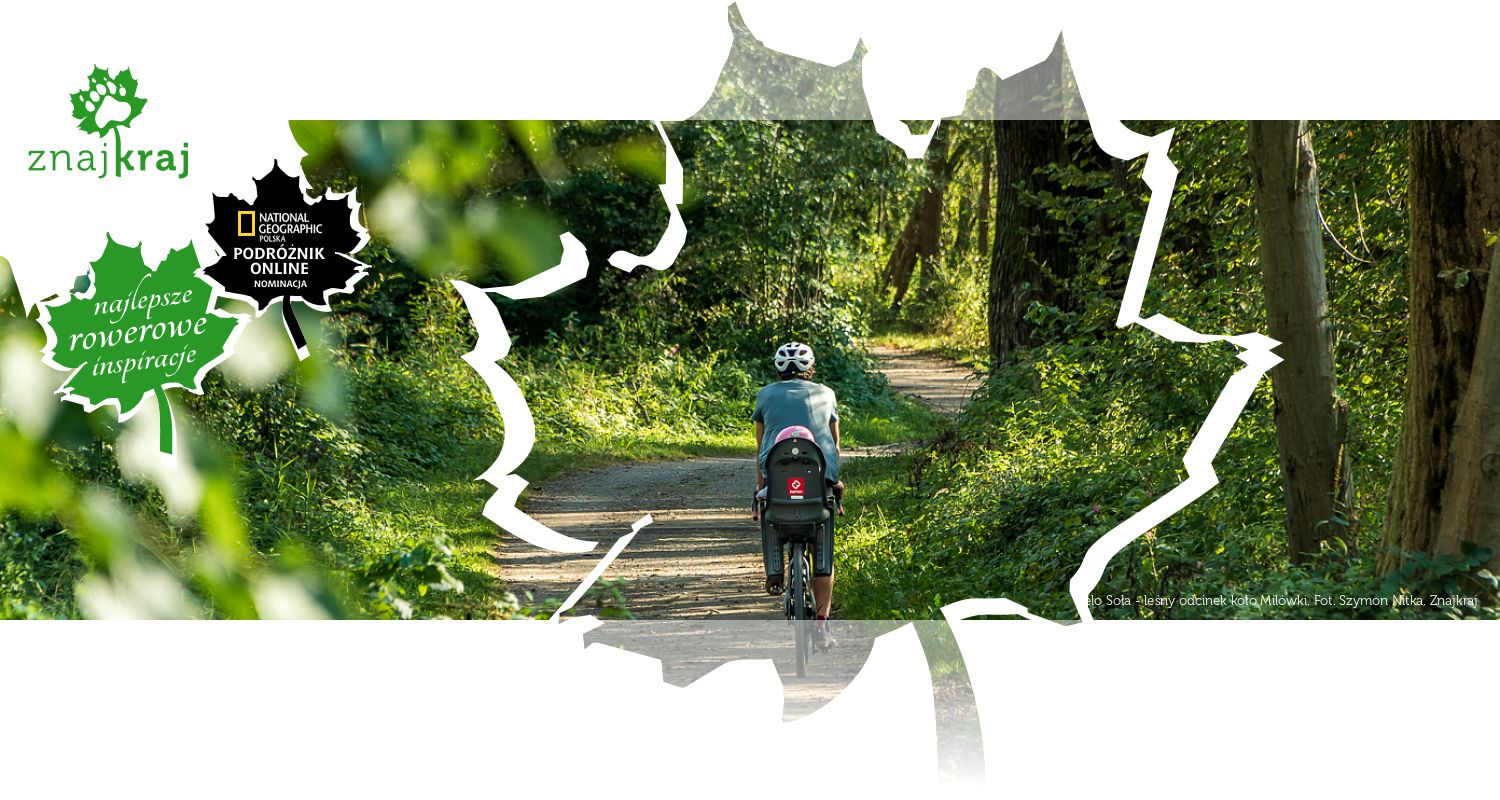 Velo Soła - leśny odcinek koło Milówki