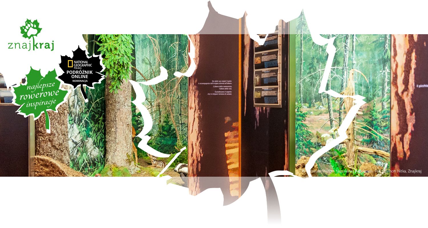 W Muzeum Historii Naturalnej w Bolzano