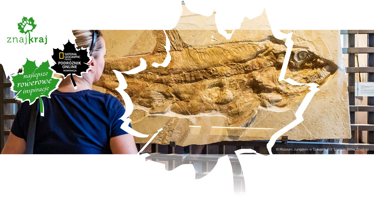 W Muzeum Jurajskim w Eichstätt