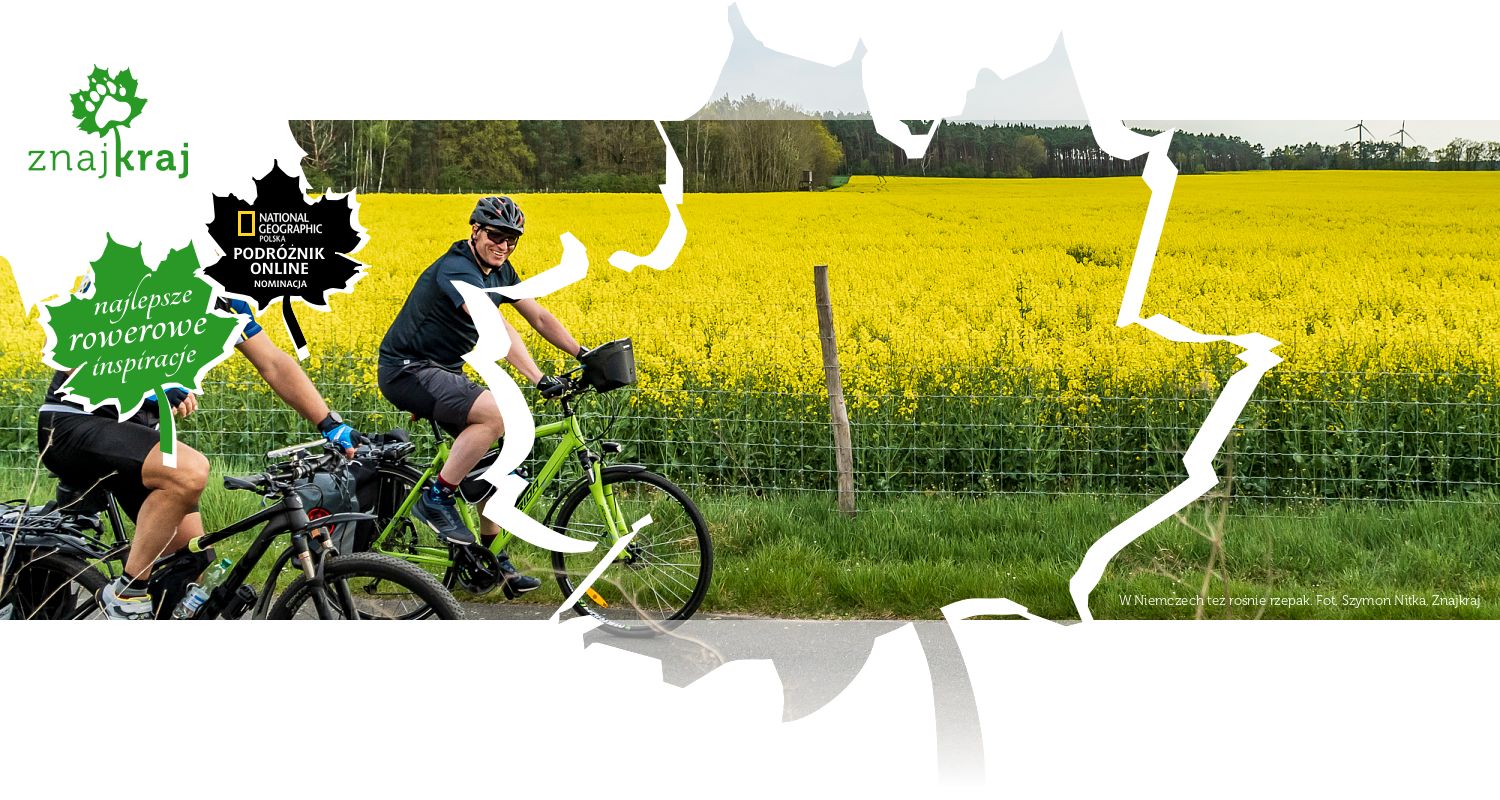 W Niemczech też rośnie rzepak