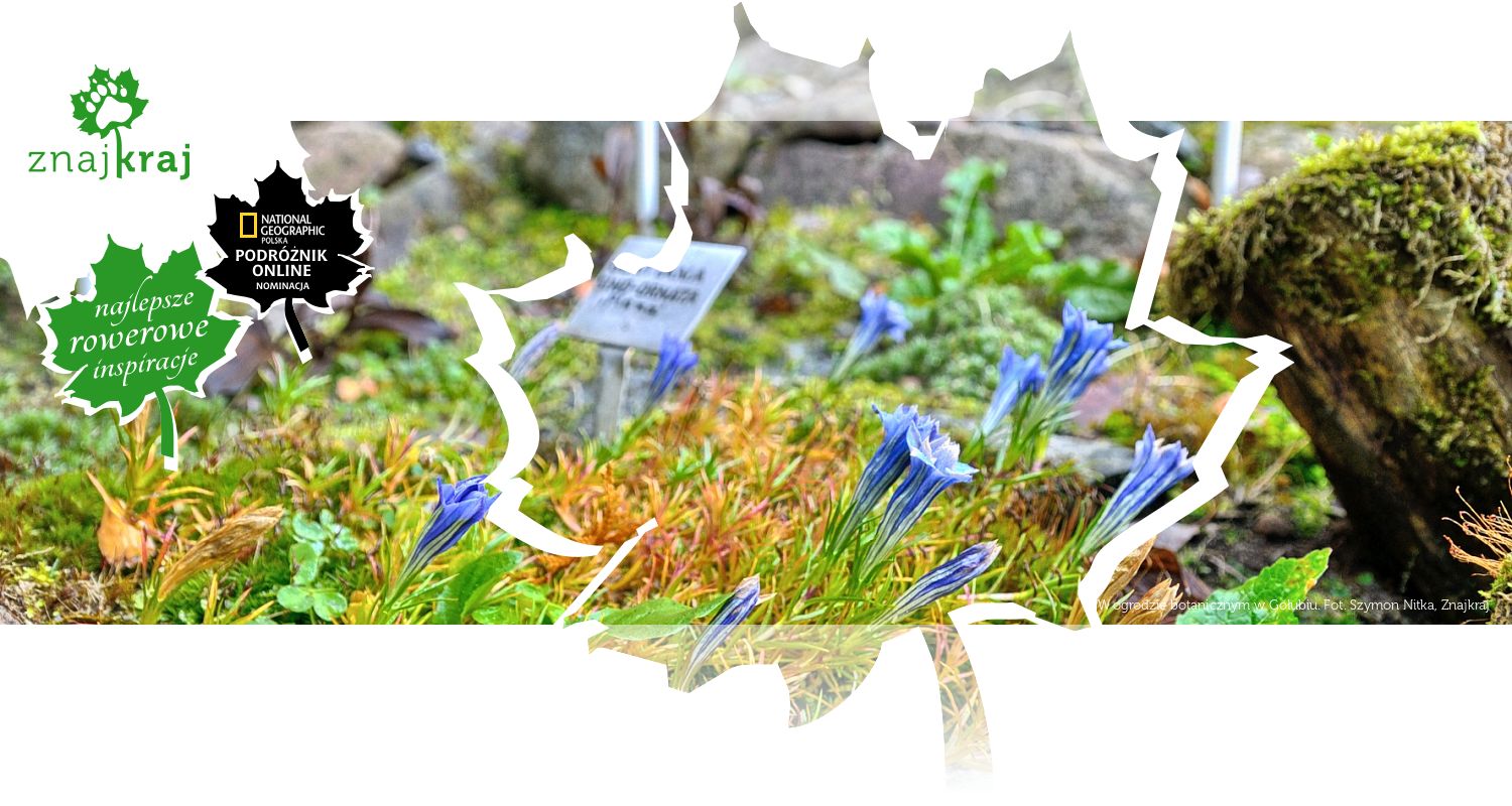 W ogrodzie botanicznym w Gołubiu