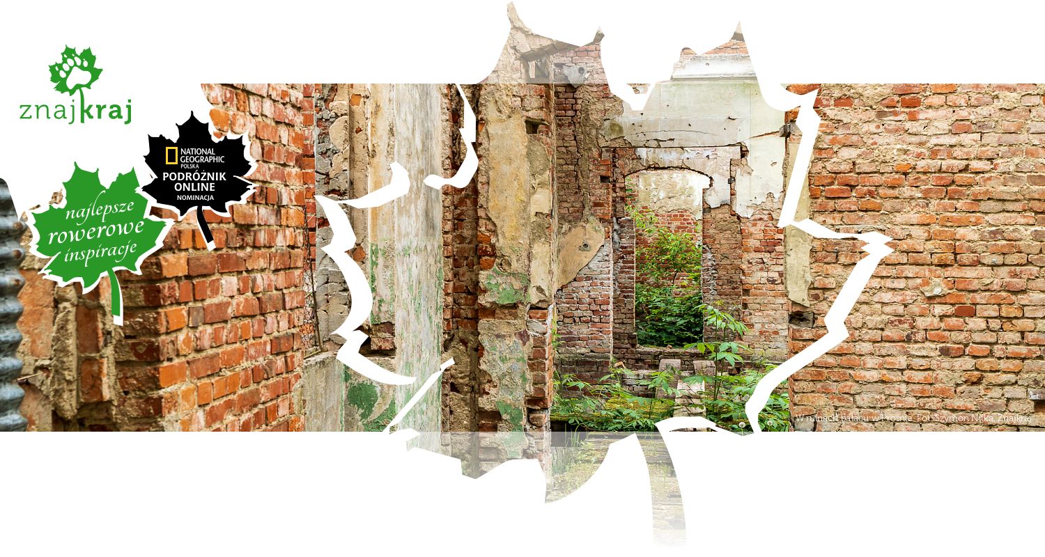 W ruinach pałacu w Prośnie