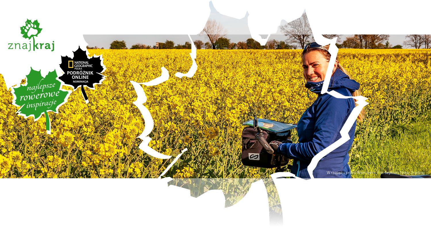 W rzepaku przed Wismarem