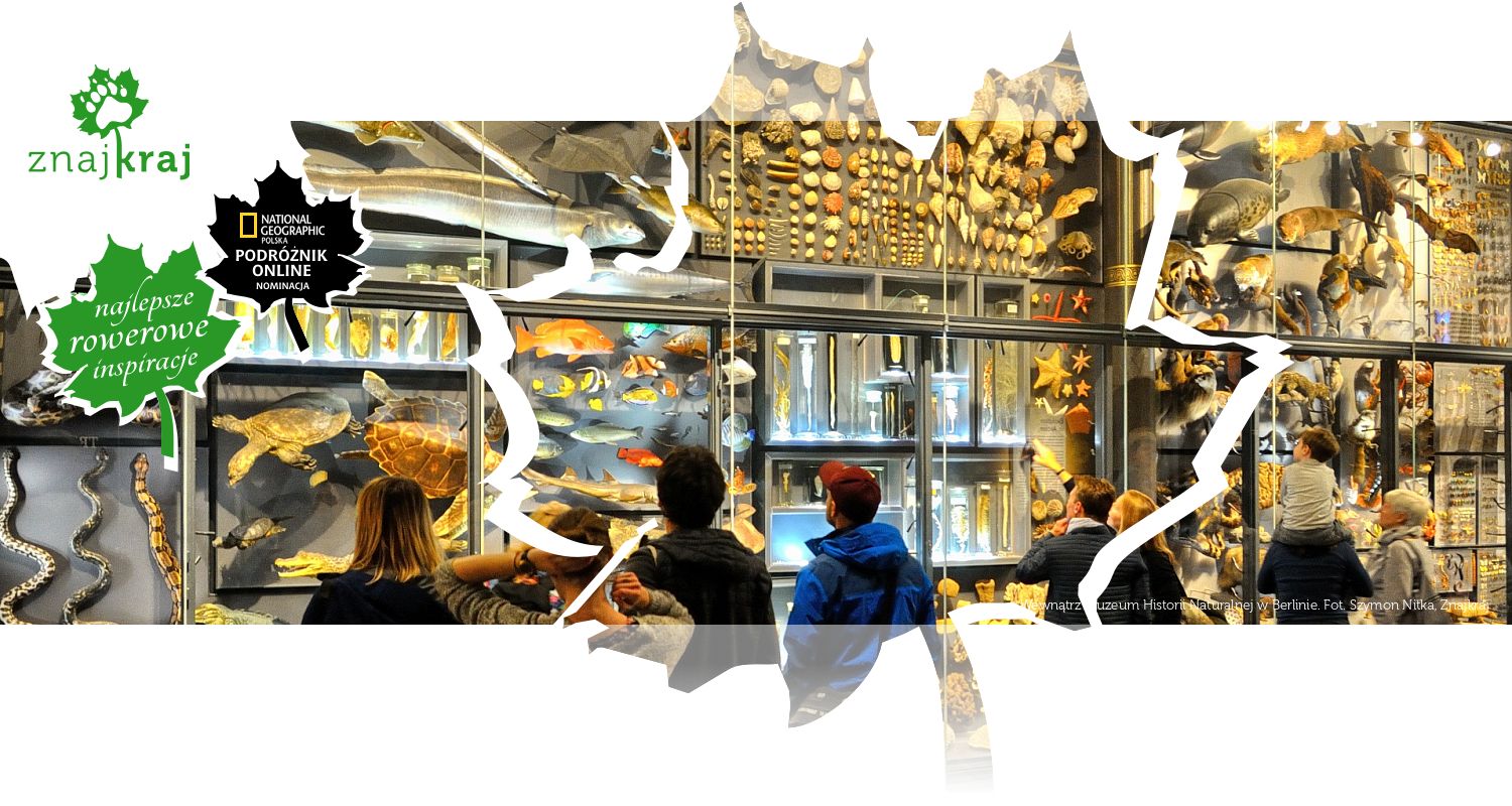 Wewnątrz Muzeum Historii Naturalnej w Berlinie