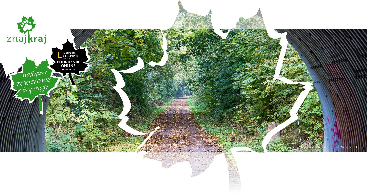 Wiadukt kolejowej drogi rowerowej koło Torunia