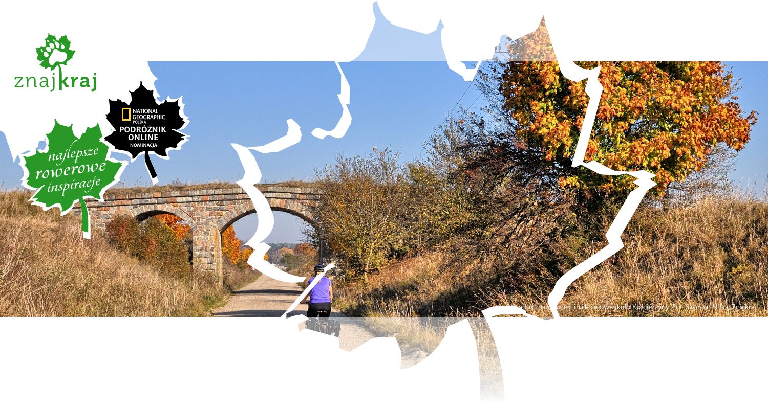 Wiadukt na dawnej linii kolejowej koło Kościerzyny