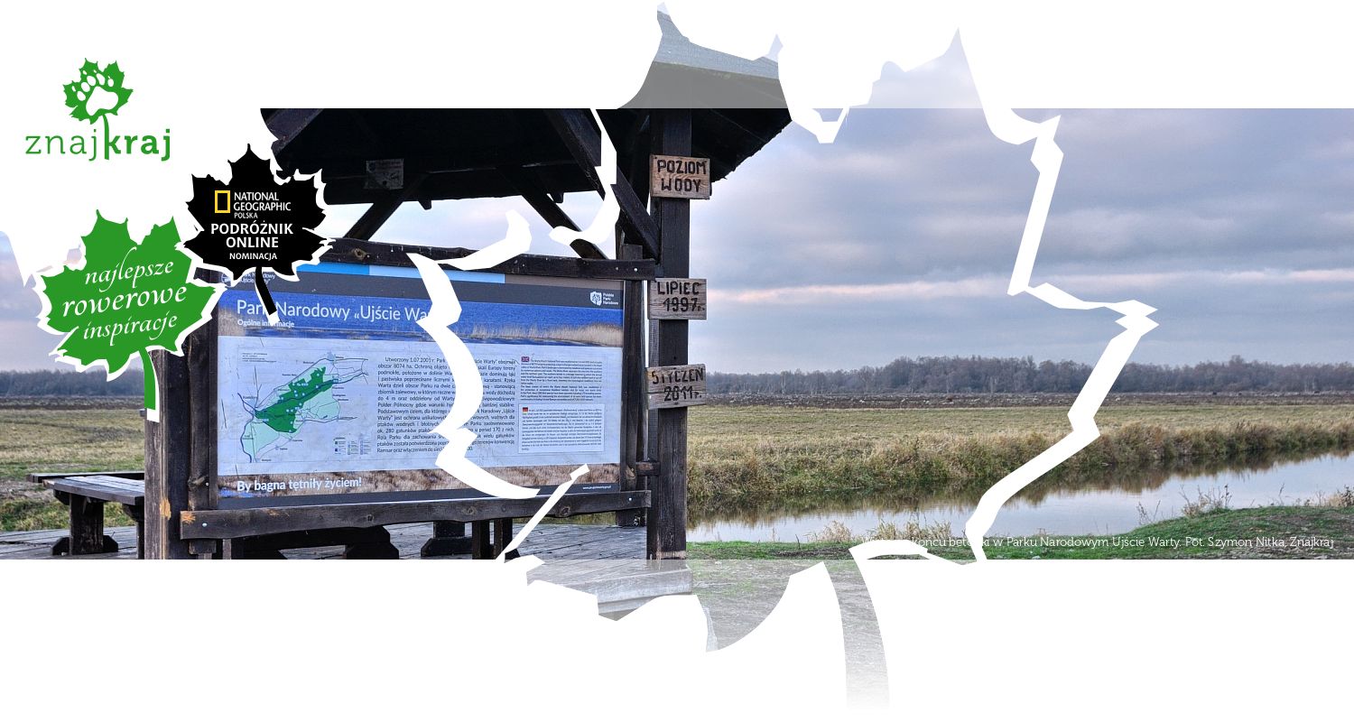 Wiata na końcu betonki w Parku Narodowym Ujście Warty