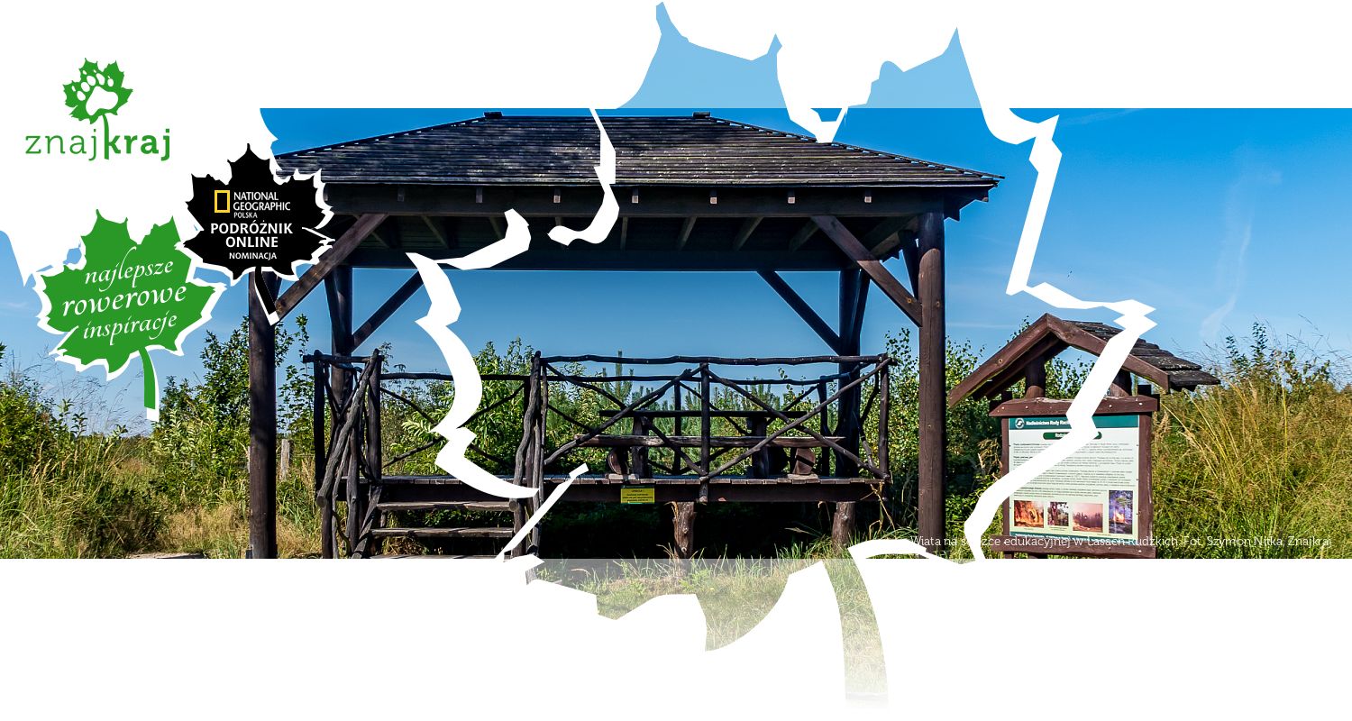 Wiata na ścieżce edukacyjnej w Lasach Rudzkich