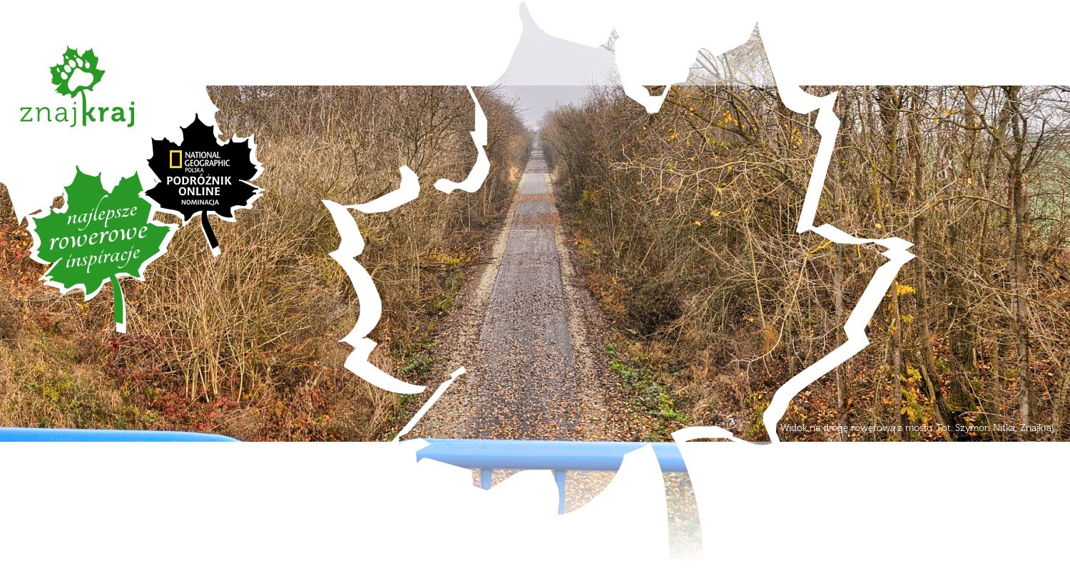 Widok na drogę rowerową z mostu