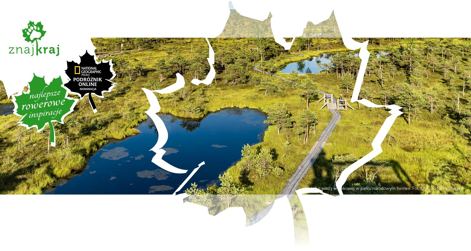 Widok z wieży widokowej w parku narodowym Ķemeri