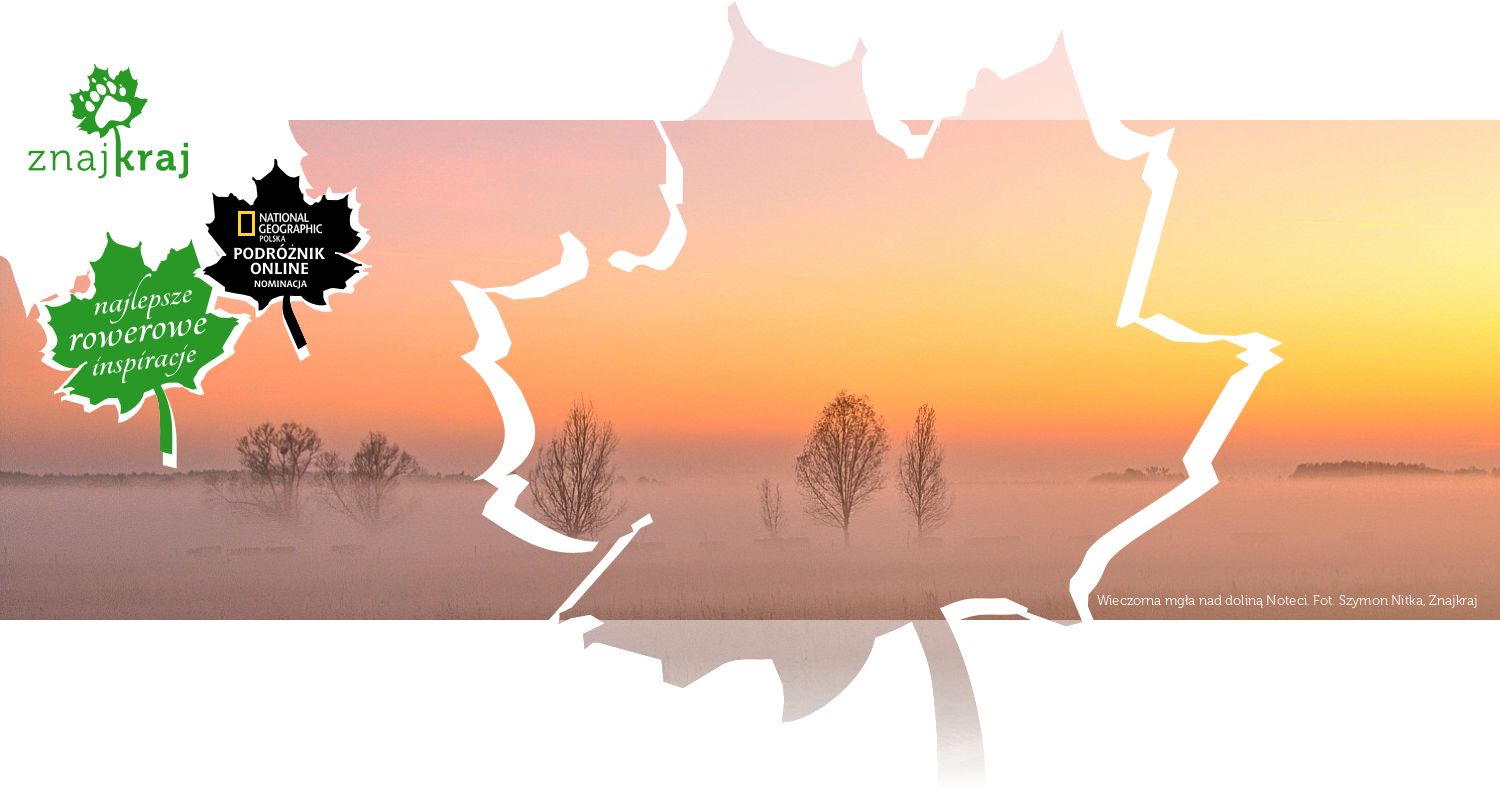 Wieczorna mgła nad doliną Noteci