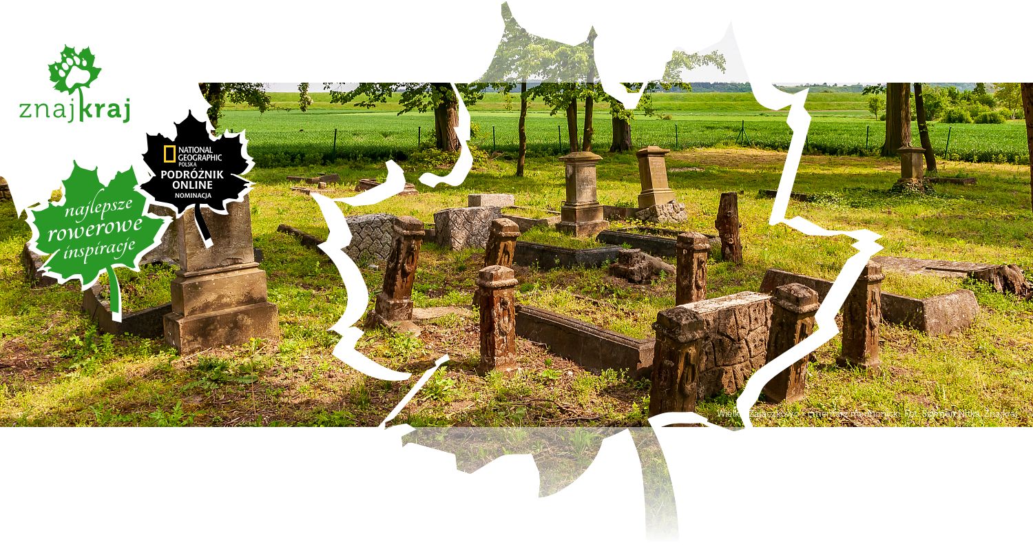 Wielkie Zajączkowo - cmentarz mennonicki
