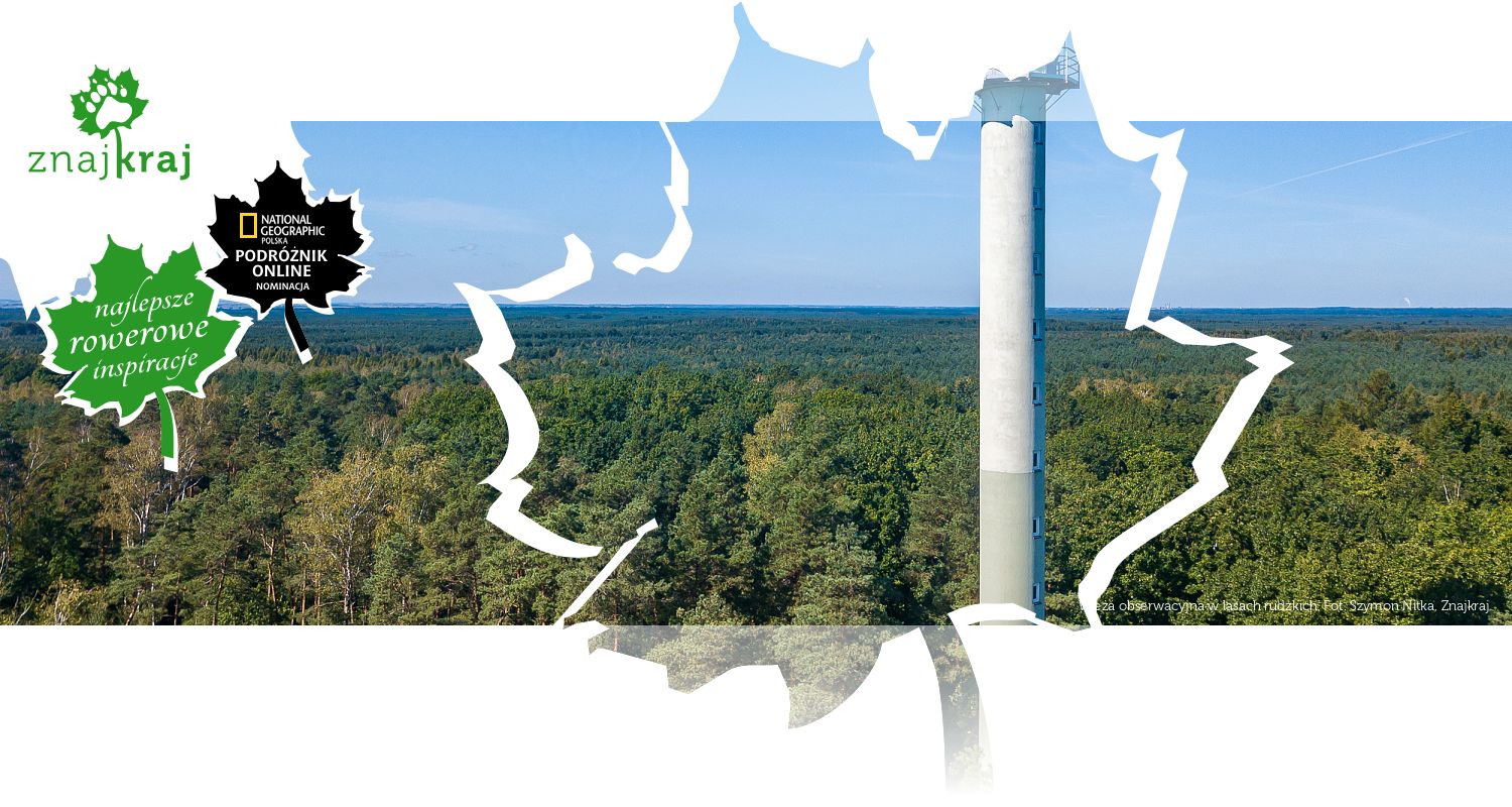 Wieża obserwacyjna w lasach rudzkich