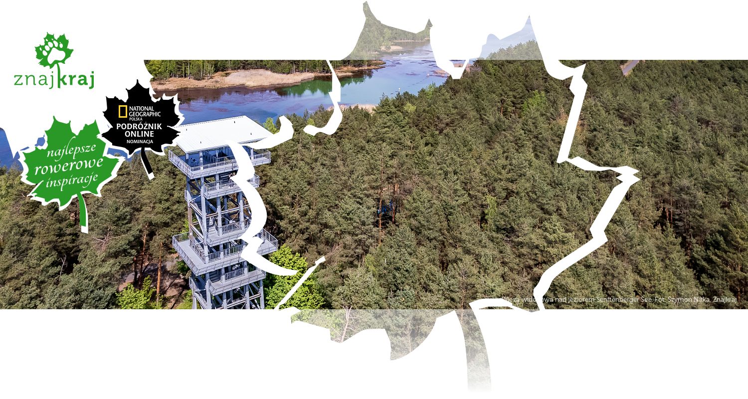 Wieża widokowa nad jeziorem Senftenberger See