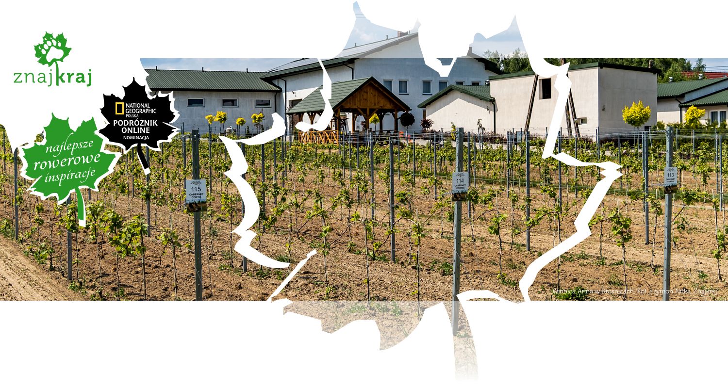 Winnica Anna w Krośnicach