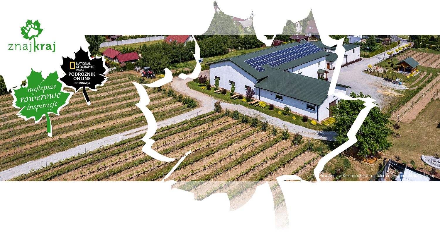 Winnica Anna w Krośnicach z lotu ptaka