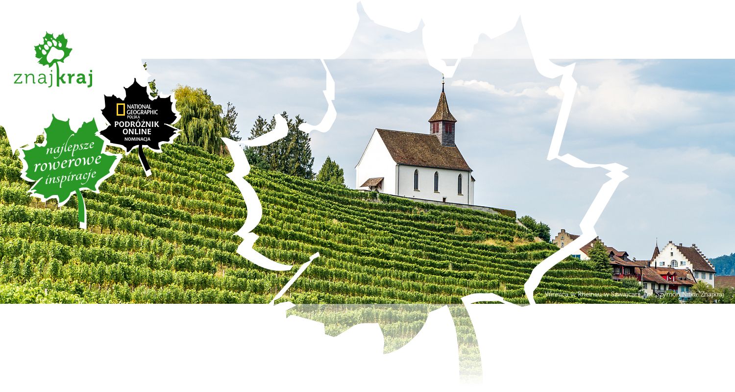 Winnica w Rheinau w Szwajcarii