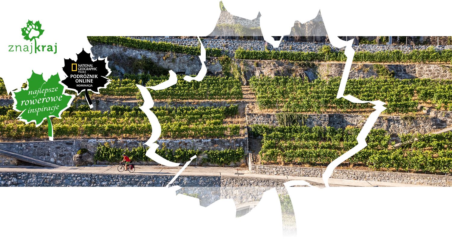 Winnice Lavaux w Szwajcarii