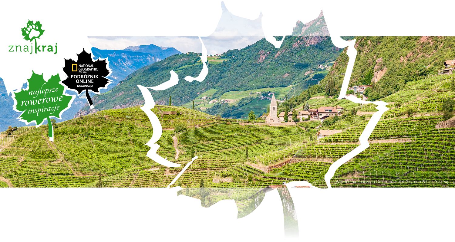 Winnice na zboczach Dolomitów