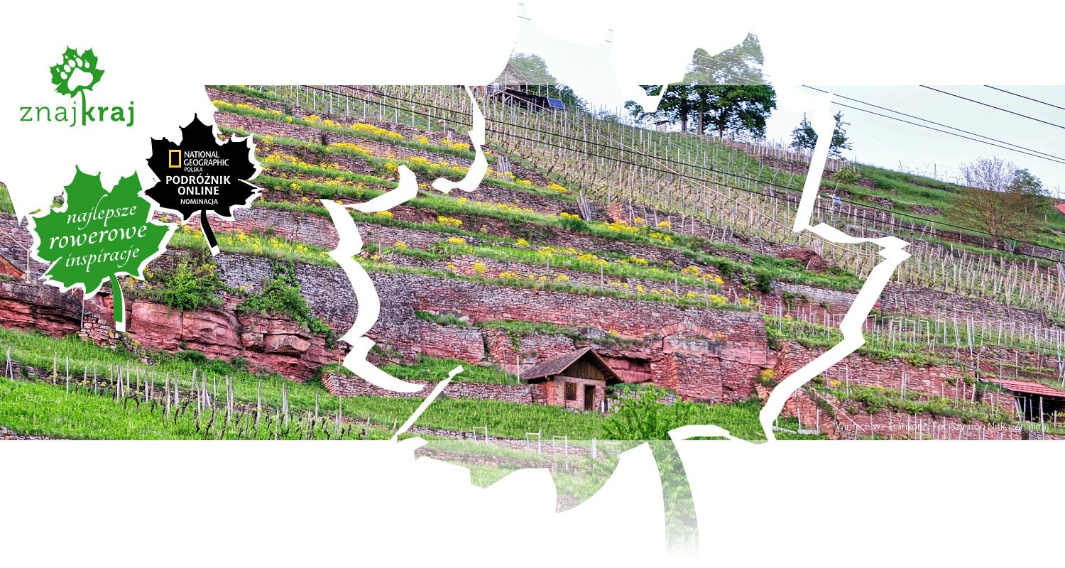 Winnice we Frankonii