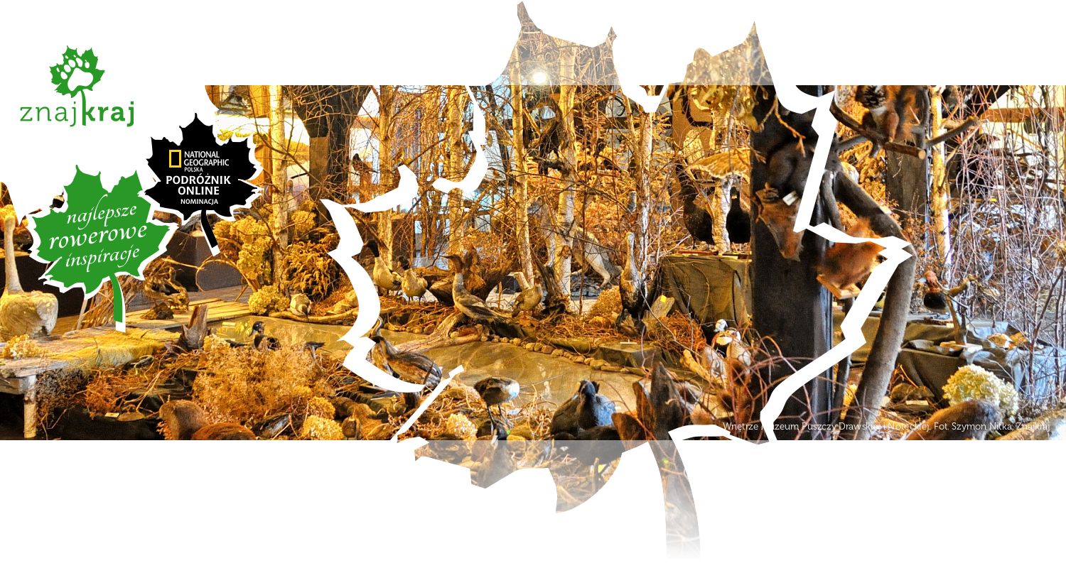 Wnętrze Muzeum Puszczy Drawskiej i Noteckiej