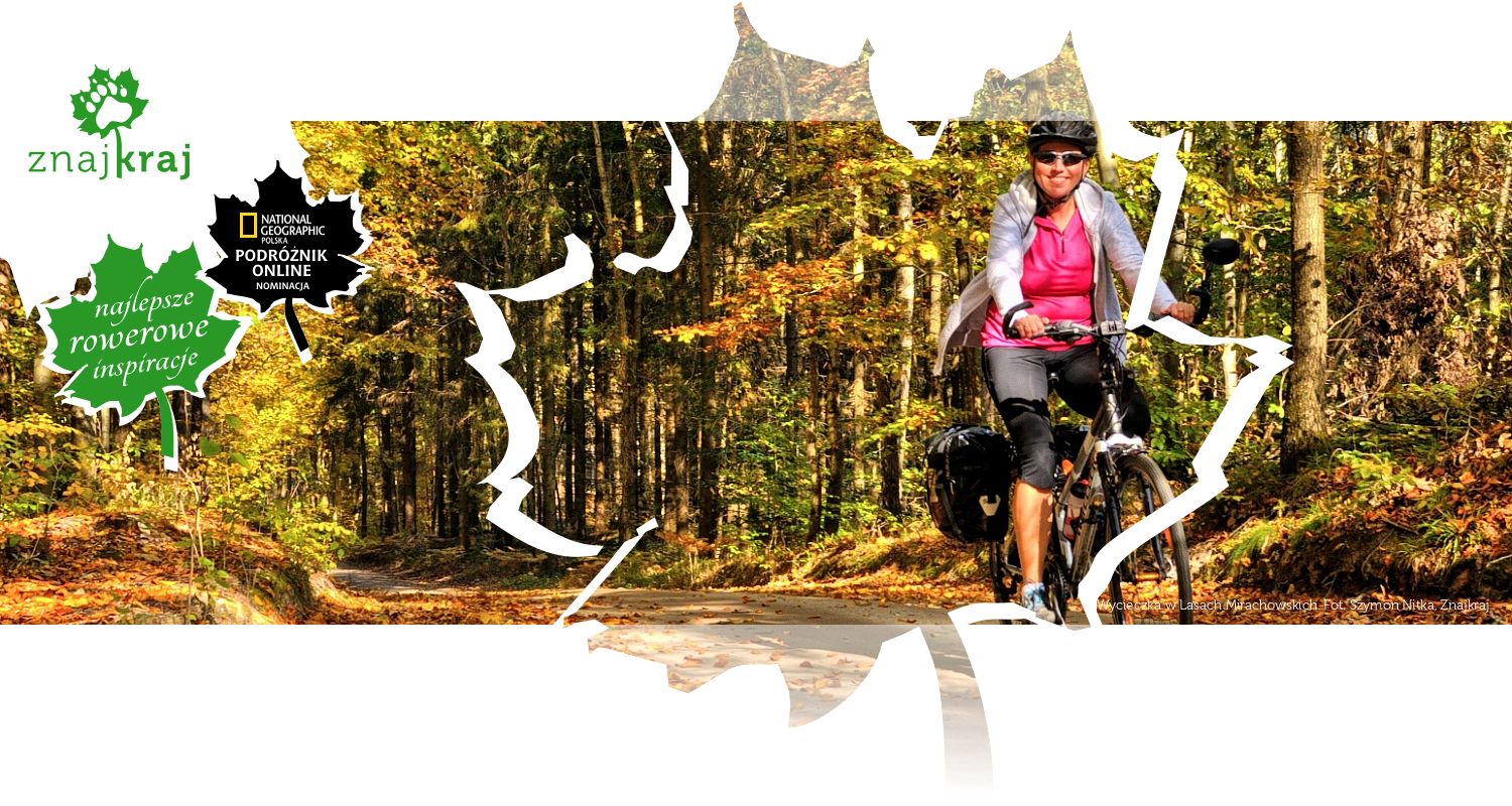 Wycieczka w Lasach Mirachowskich