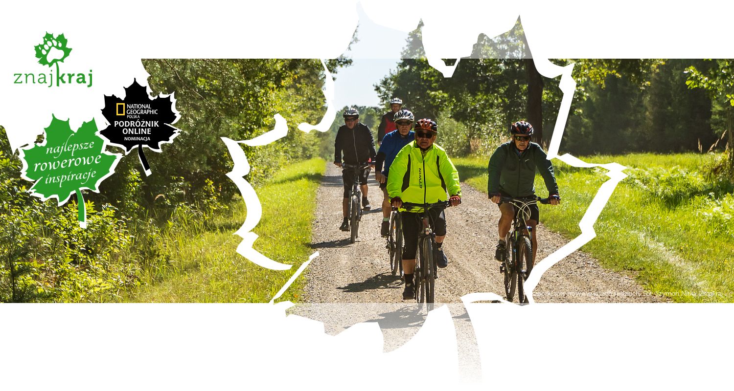 Wycieczki rowerowe w lasach rudzkich