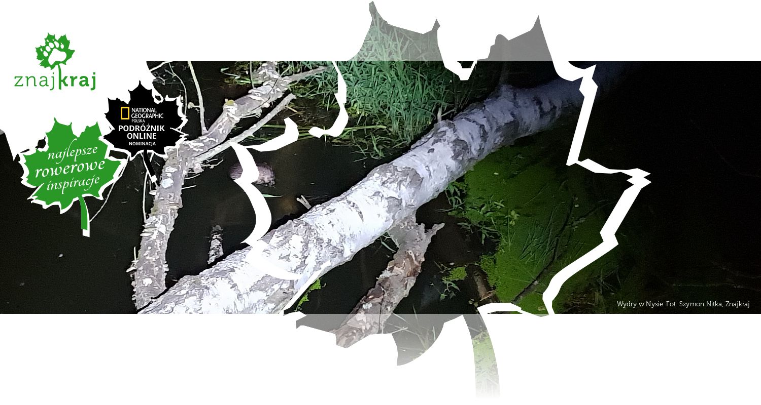 Wydry w Nysie