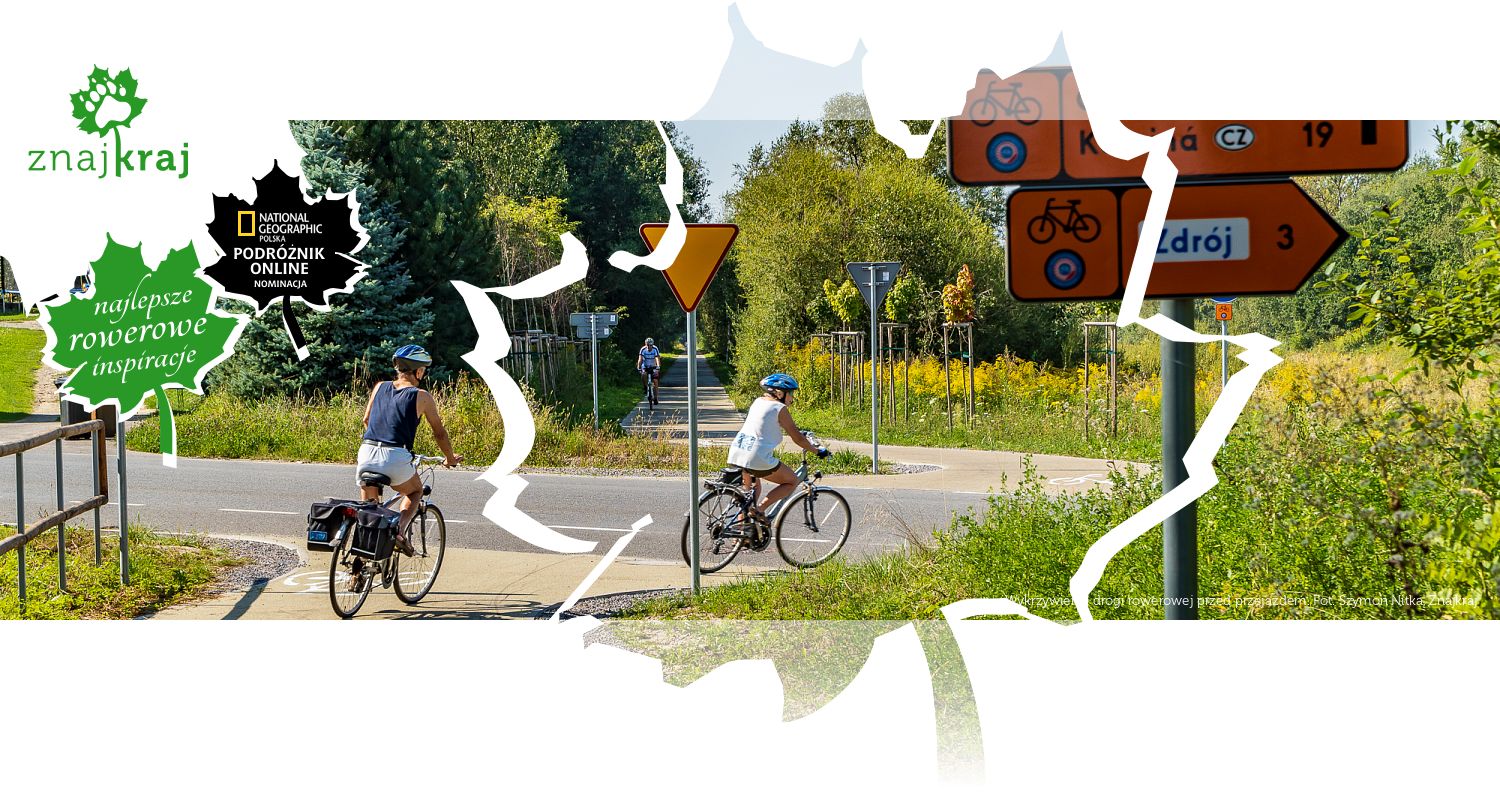 Wykrzywienie drogi rowerowej przed przejazdem