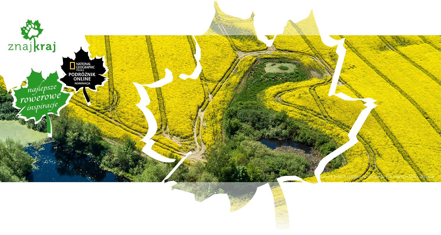 Wzory na polach rzepaku na Kociewiu