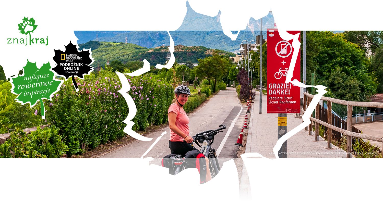 Zakaz korzystania z telefonów na rowerze