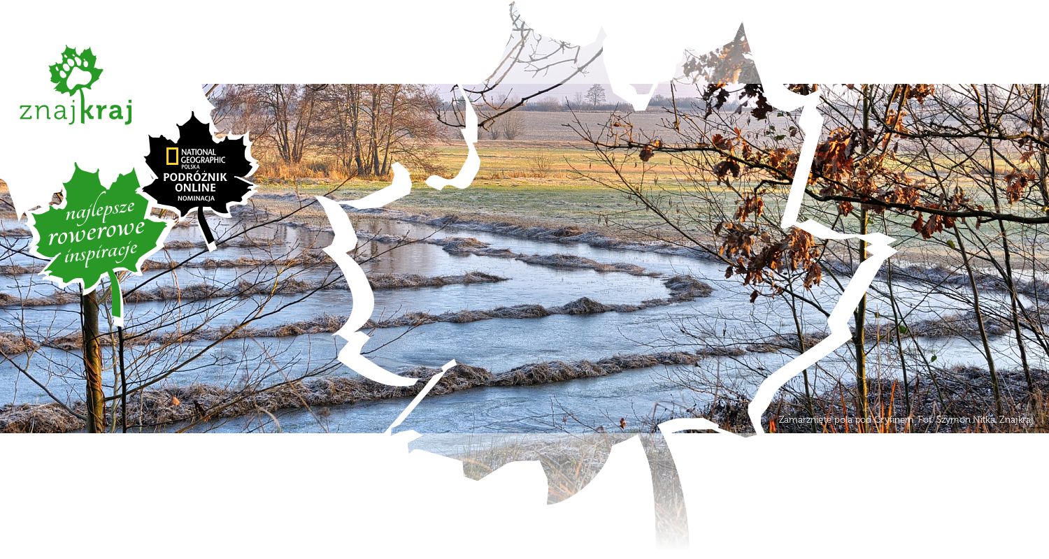 Zamarznięte pola pod Gryfinem