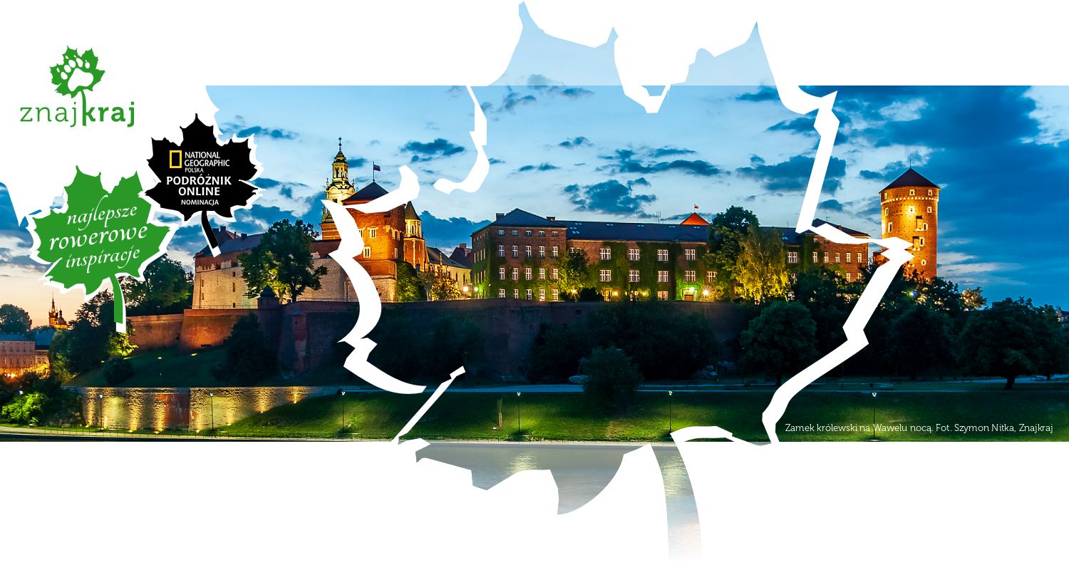 Zamek królewski na Wawelu nocą