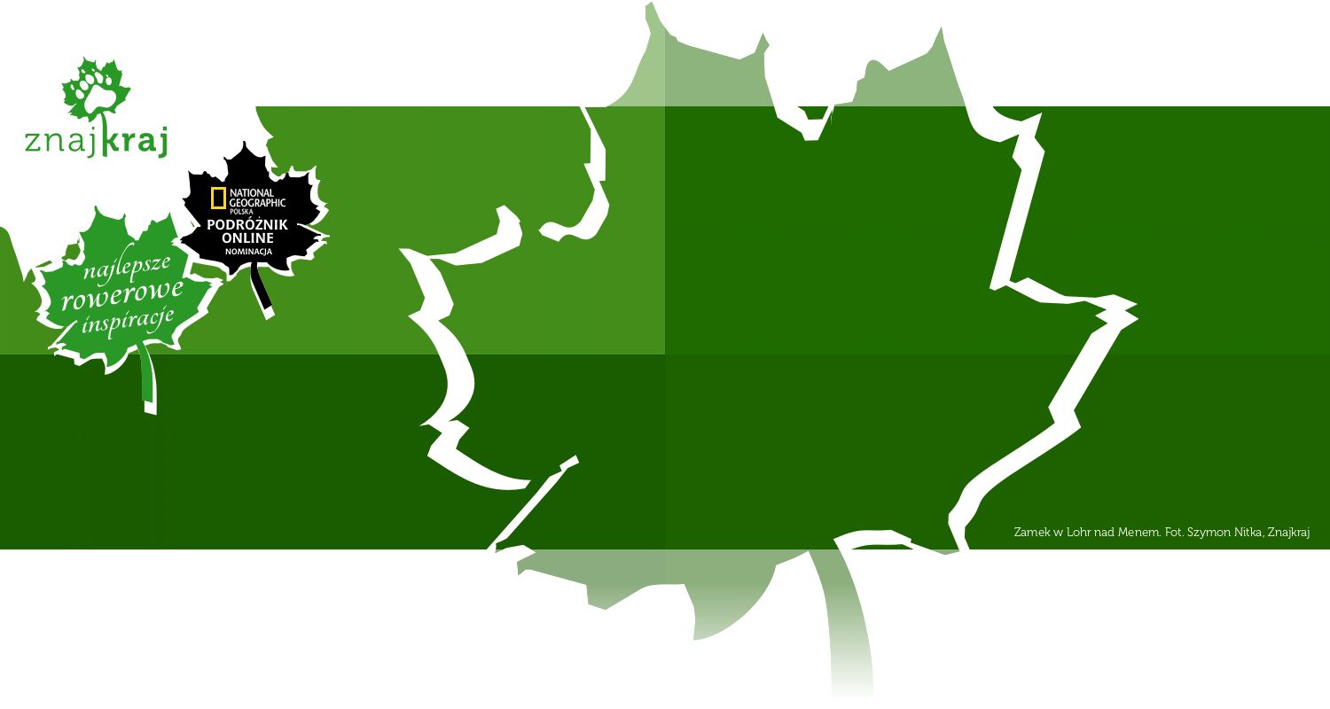 Zamek w Lohr nad Menem