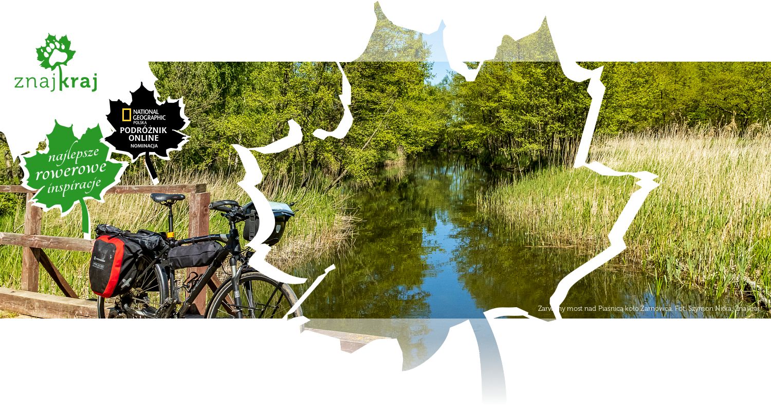 Zarwany most nad Piaśnicą koło Żarnowca