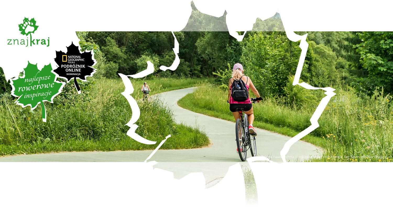 Zielona nawierzchnia drogi rowerowej Velo Krynica