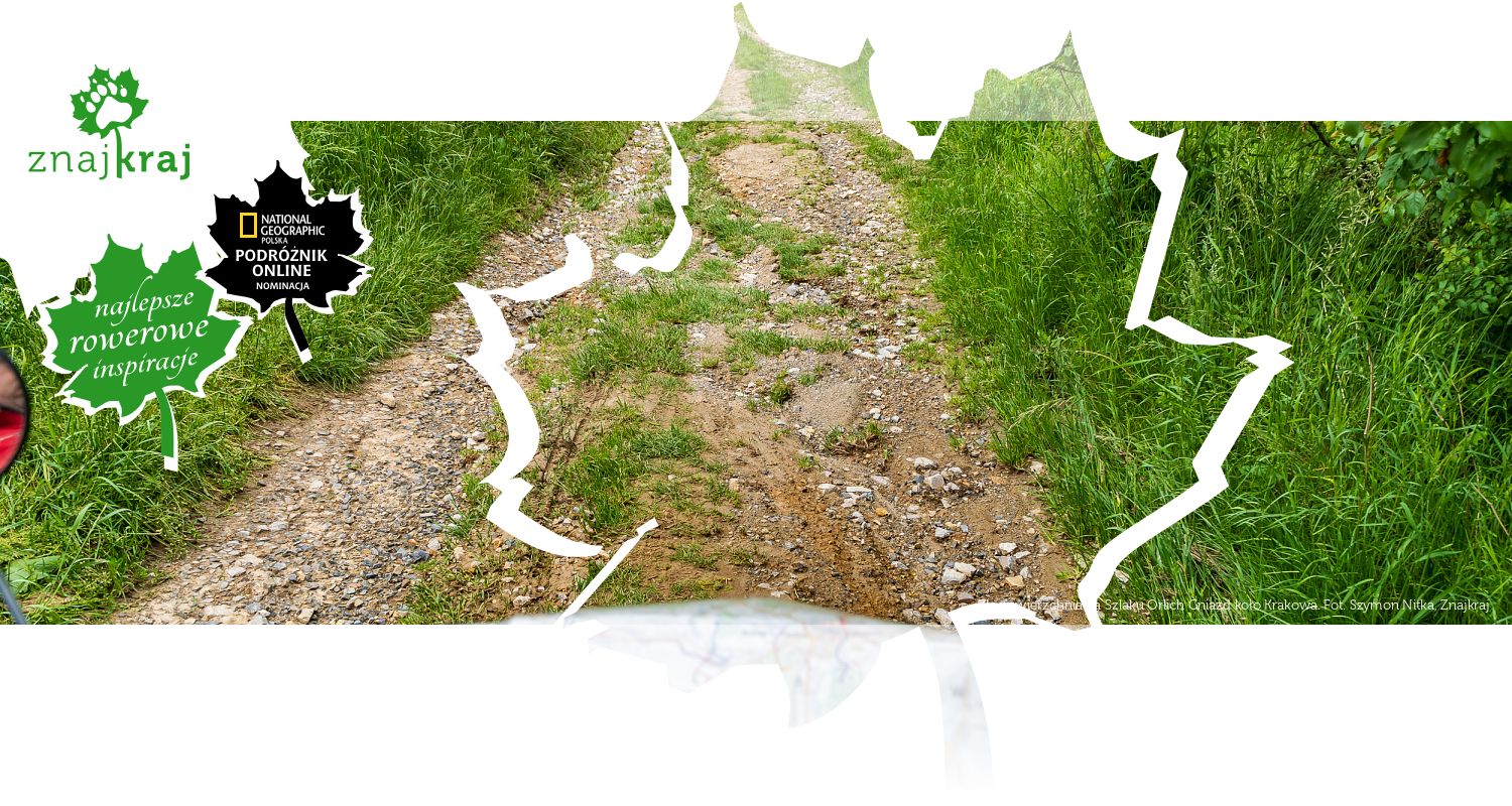 Zła nawierzchnia na Szlaku Orlich Gniazd koło Krakowa