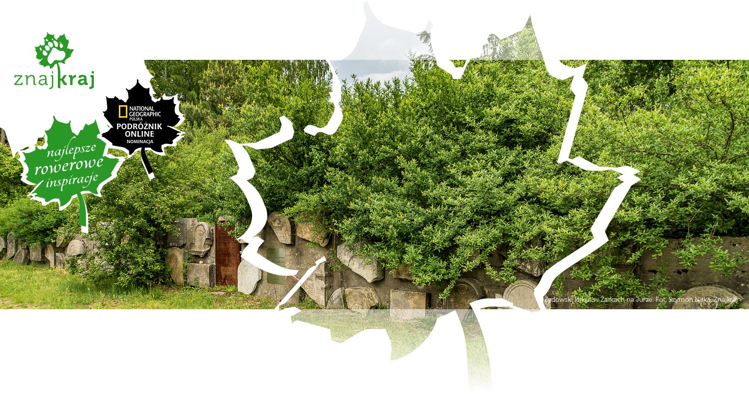 Żydowski kirkut w Żarkach na Jurze