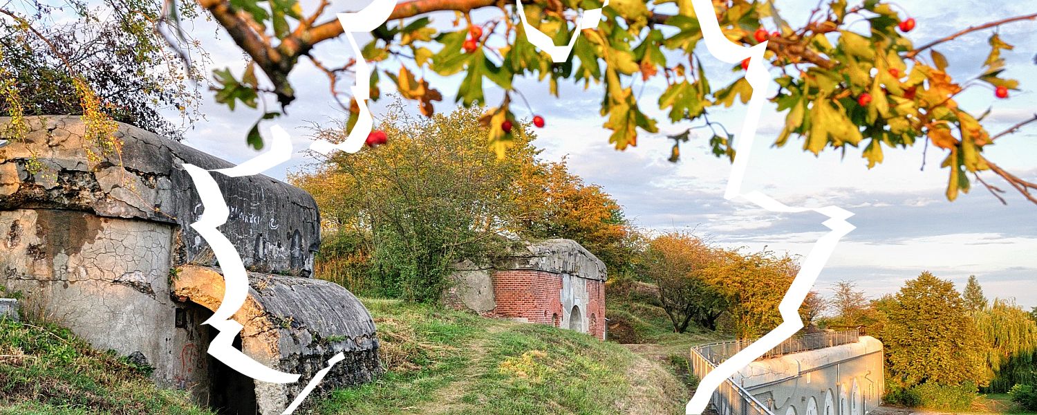 Fort XI Duńkowiczki