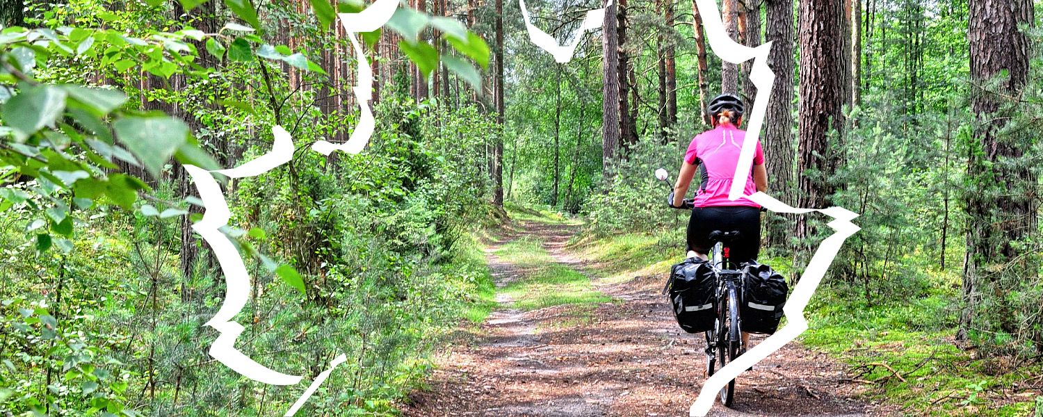 Leśna odnoga rowerowego szlaku