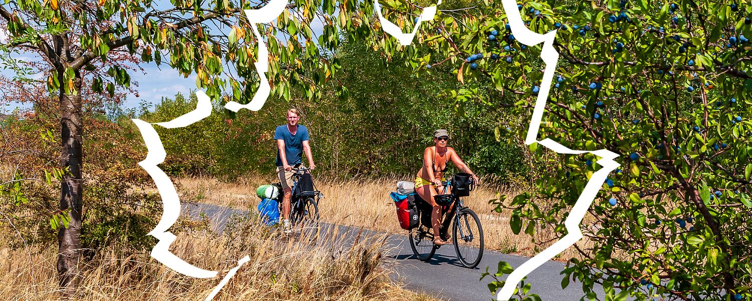 Rowerzyści na Oder-Neisse Radweg