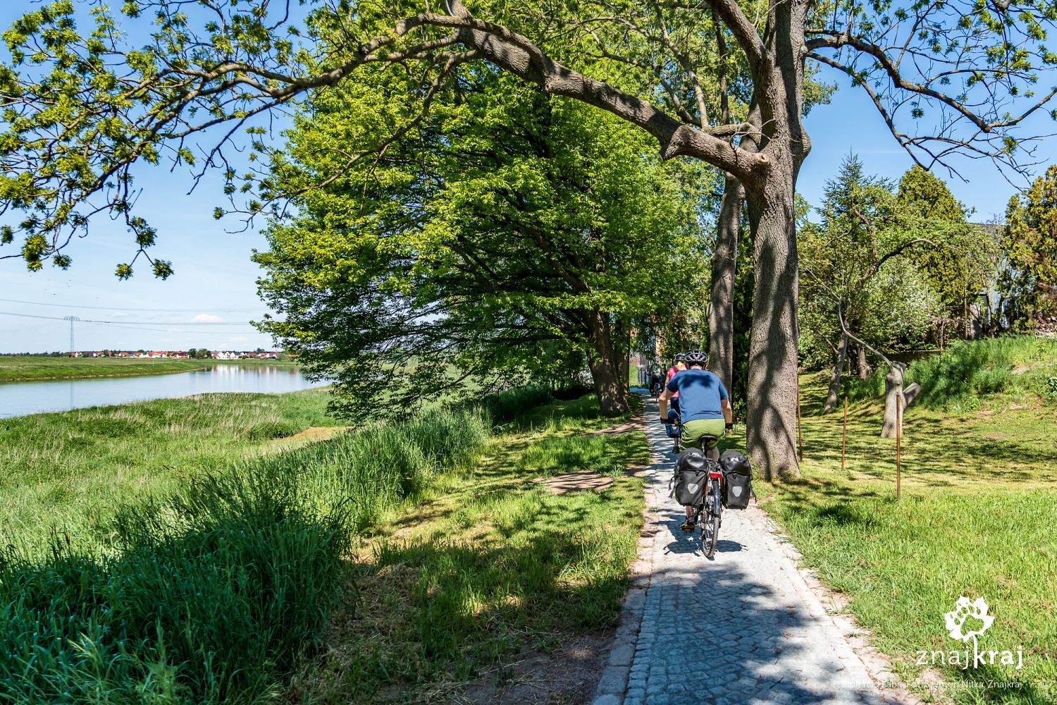 Rowerowy bruk nad Łabą