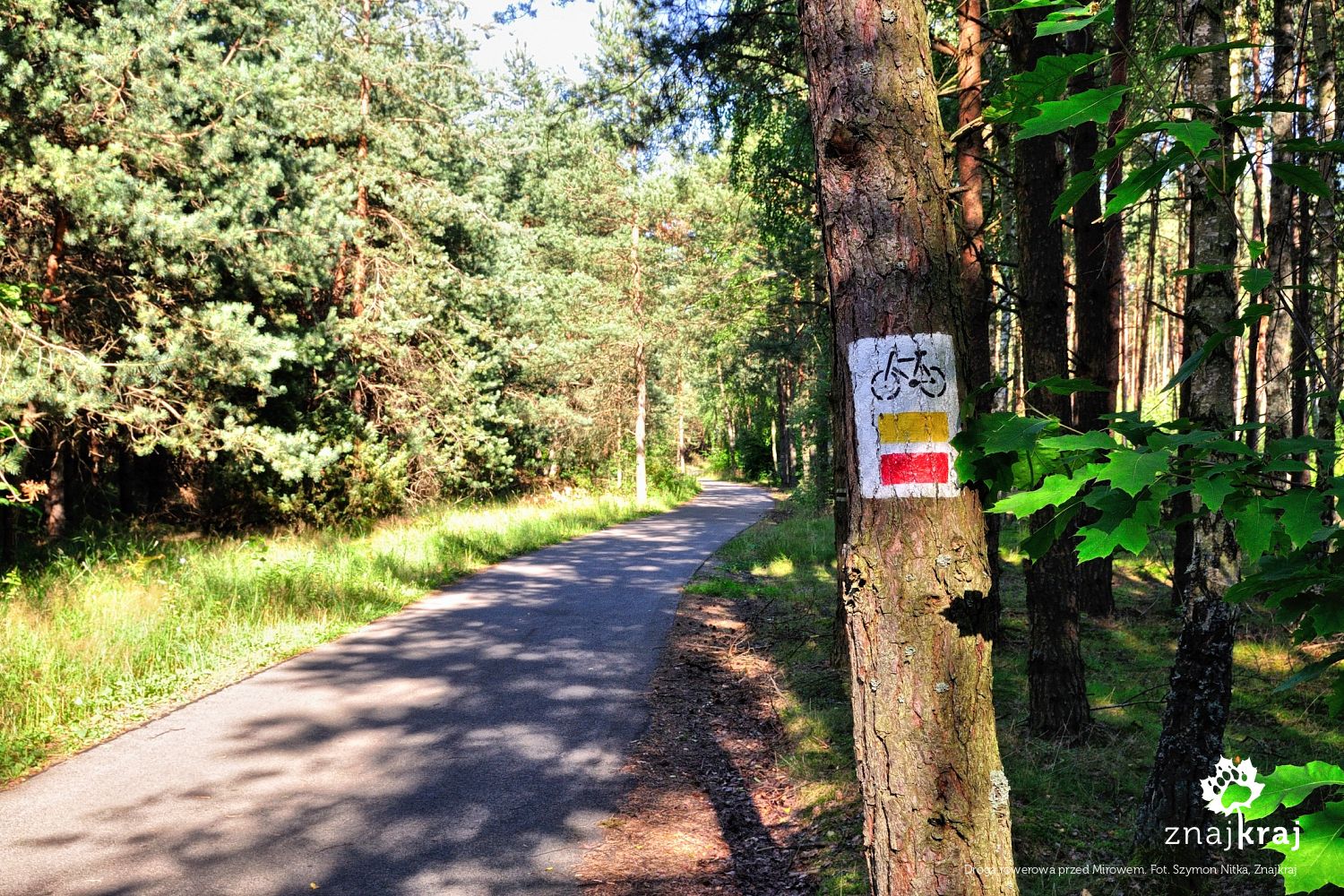 Droga rowerowa przed Mirowem