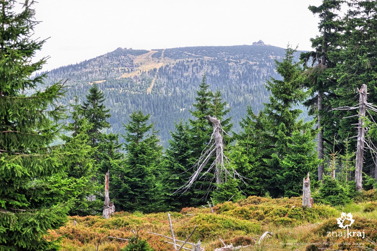 Pierwszy widok na Szrenicę Pierwszy widok na Szrenicę