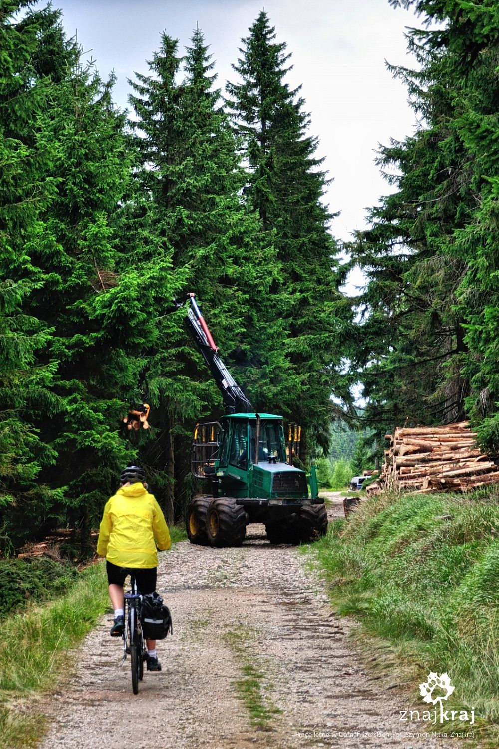 Prace leśne w Górach Izerskich Prace leśne w Górach Izerskich