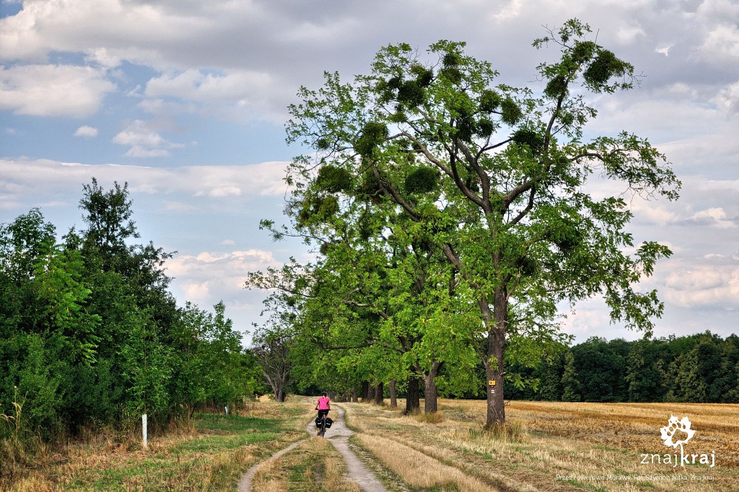 Przez rowerowe Morawy