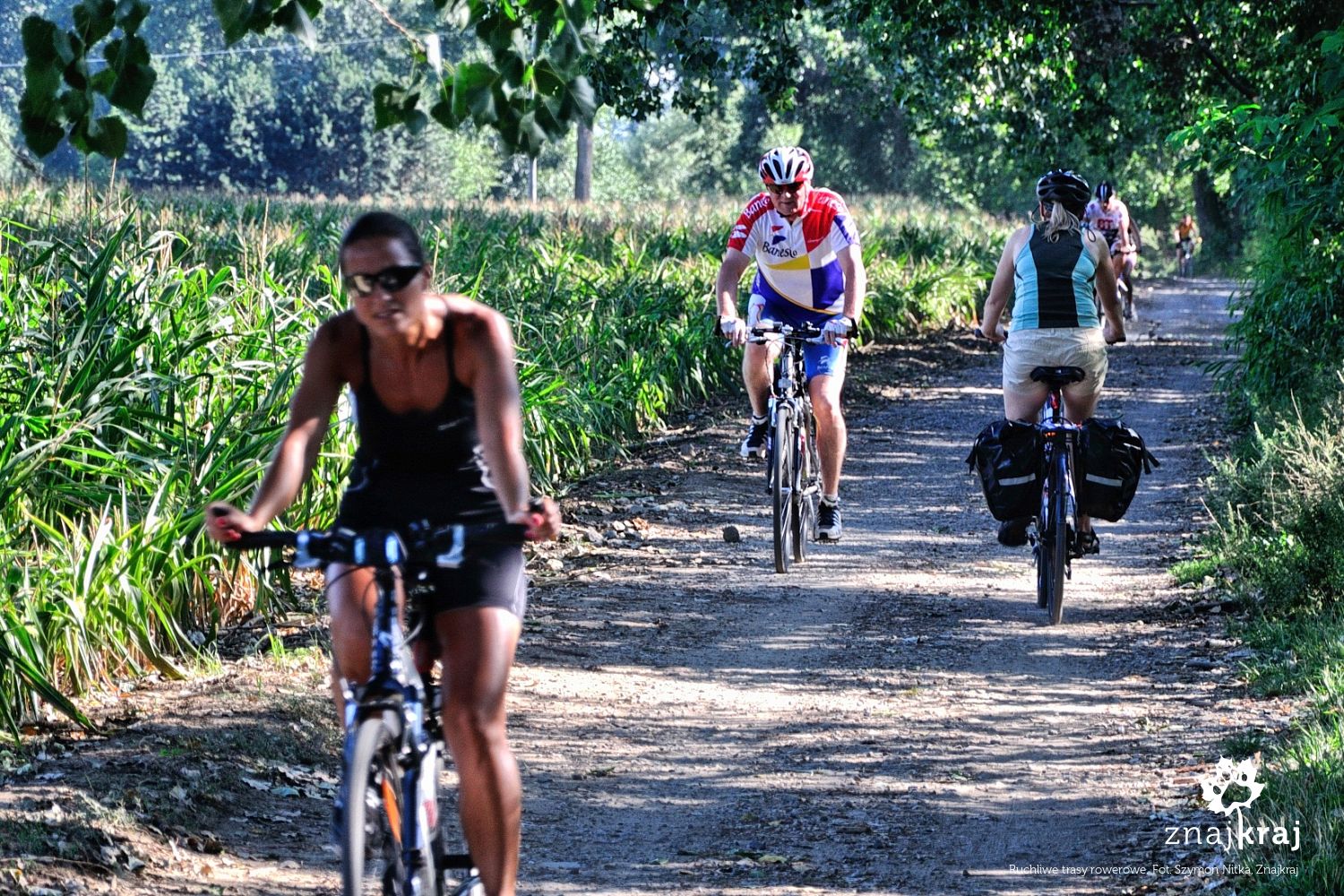 Ruchliwe trasy rowerowe Ruchliwe trasy rowerowe