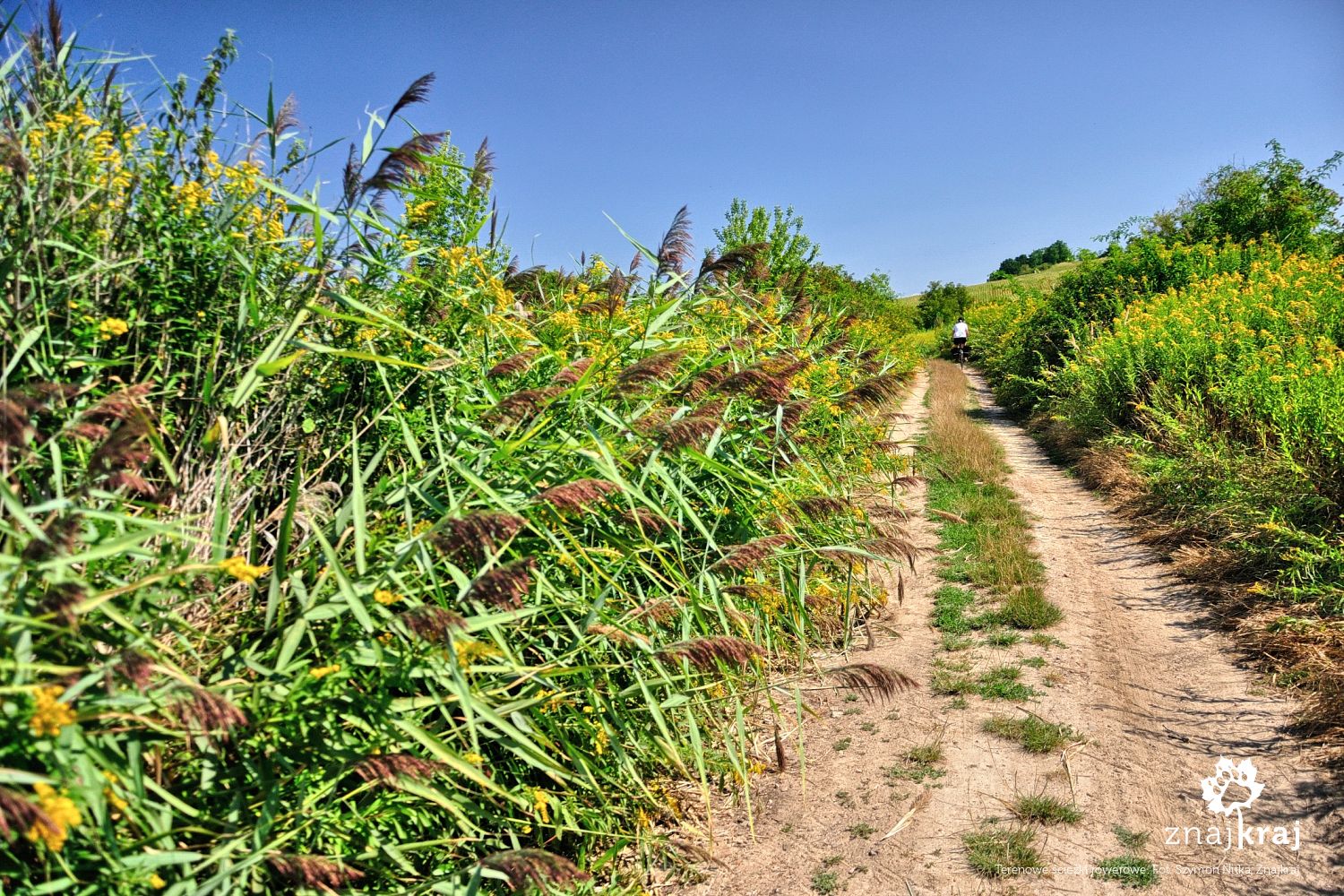Terenowe ścieżki rowerowe Terenowe ścieżki rowerowe