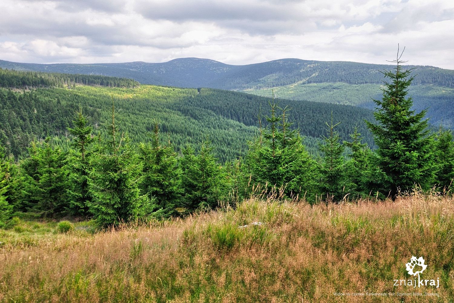 Widok na czeskie Karkonosze Widok na czeskie Karkonosze